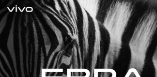 वीवो भारत में लॉन्च करेगी अपना नया ‘Z’ सीरीज फोन ?कीमत होगी