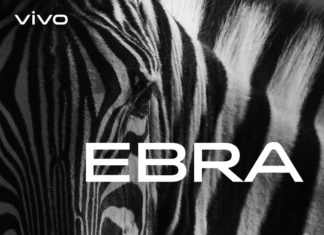 वीवो भारत में लॉन्च करेगी अपना नया ‘Z’ सीरीज फोन ?कीमत होगी