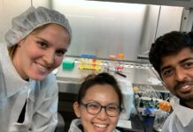 3डी प्रिंटेड बायोरिएक्टर से वैज्ञानिकों ने विकसित किया मस्तिष्क ऊतक