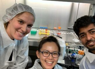 3डी प्रिंटेड बायोरिएक्टर से वैज्ञानिकों ने विकसित किया मस्तिष्क ऊतक