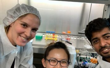 3डी प्रिंटेड बायोरिएक्टर से वैज्ञानिकों ने विकसित किया मस्तिष्क ऊतक