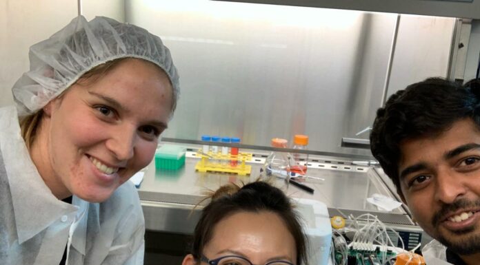 3डी प्रिंटेड बायोरिएक्टर से वैज्ञानिकों ने विकसित किया मस्तिष्क ऊतक