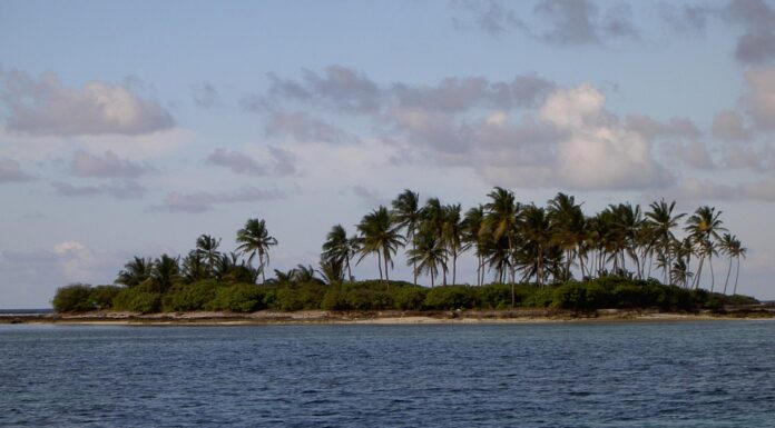 Ocean thermal energy conversion plant coming up in Lakshadweep